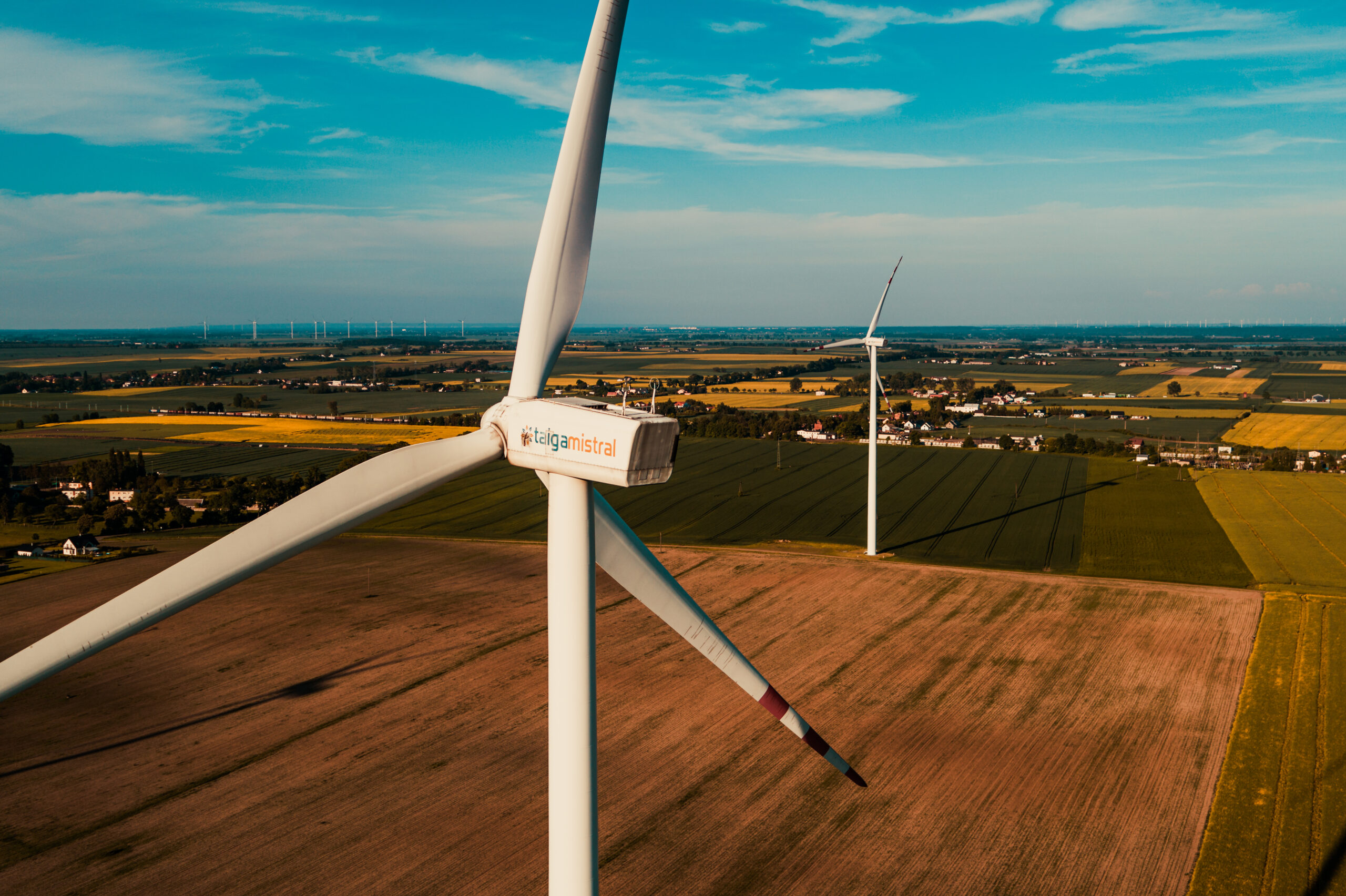 fot. Mariusz Milewski